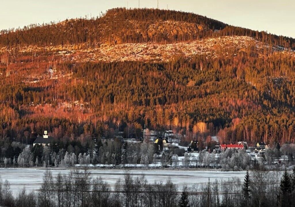 Photo of Others in Ljungaverk