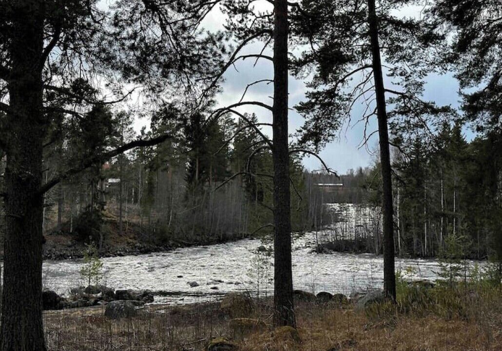 Photo of Others in Ljungaverk