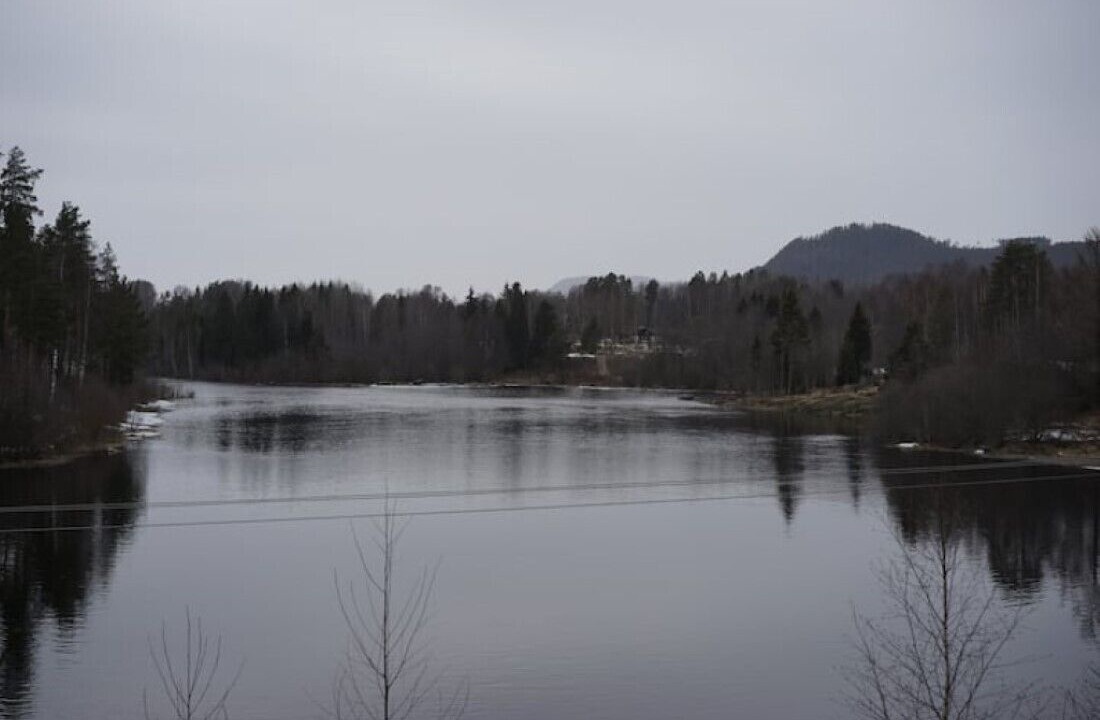 Photo of Others in Ljungaverk