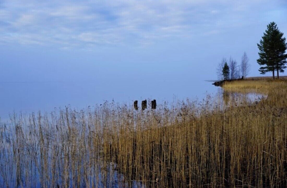 Photo of Others in Ljungaverk