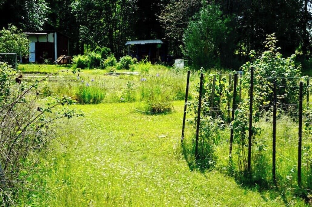 Photo of Outdoor in Krylbo