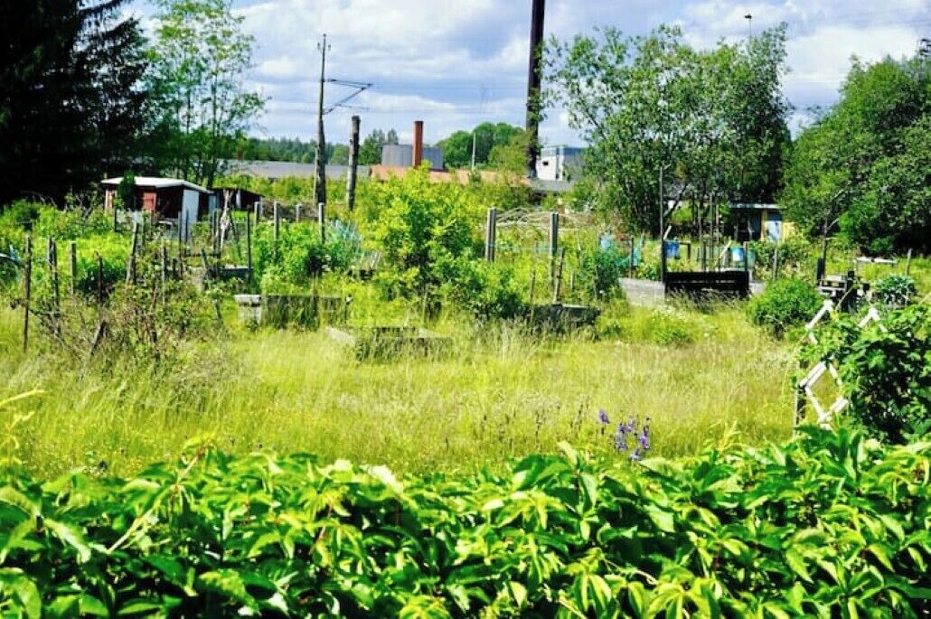 Photo of Outdoor in Krylbo