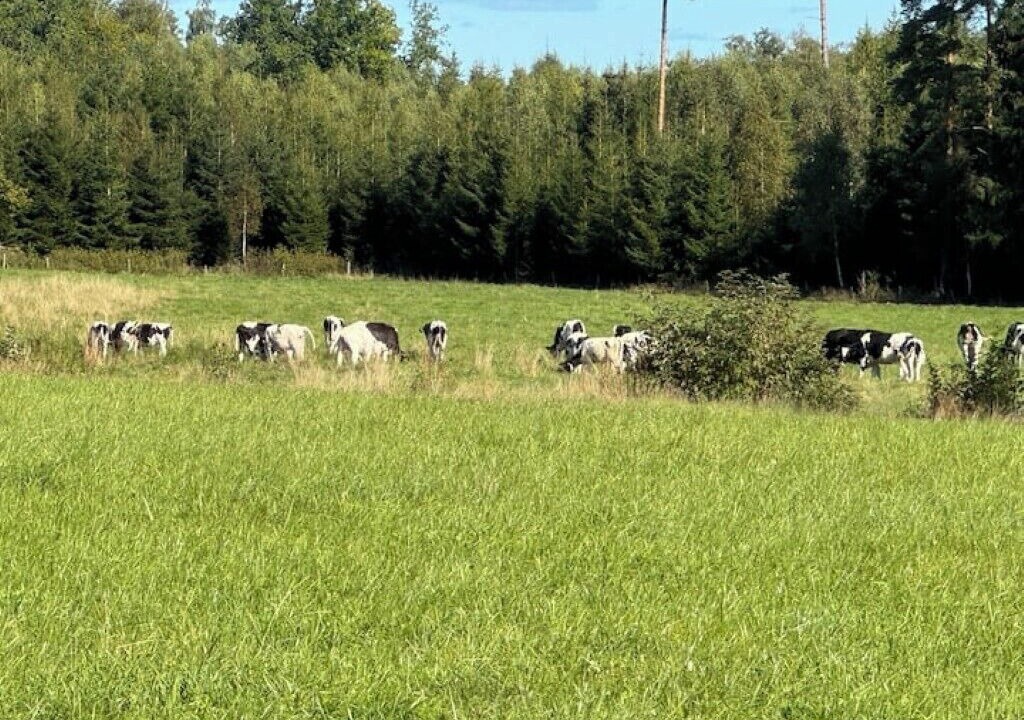 Photo of Others in Forsheda