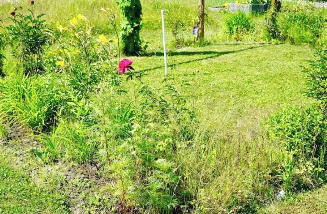 Photo of Outdoor in Krylbo