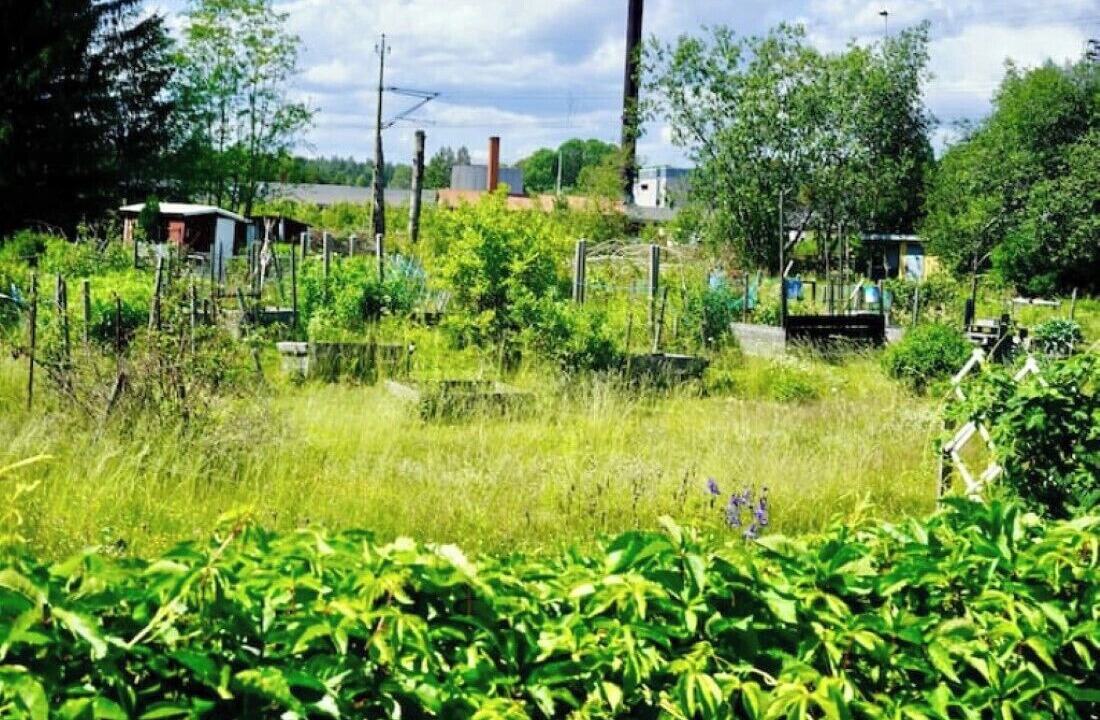 Photo of Outdoor in Krylbo
