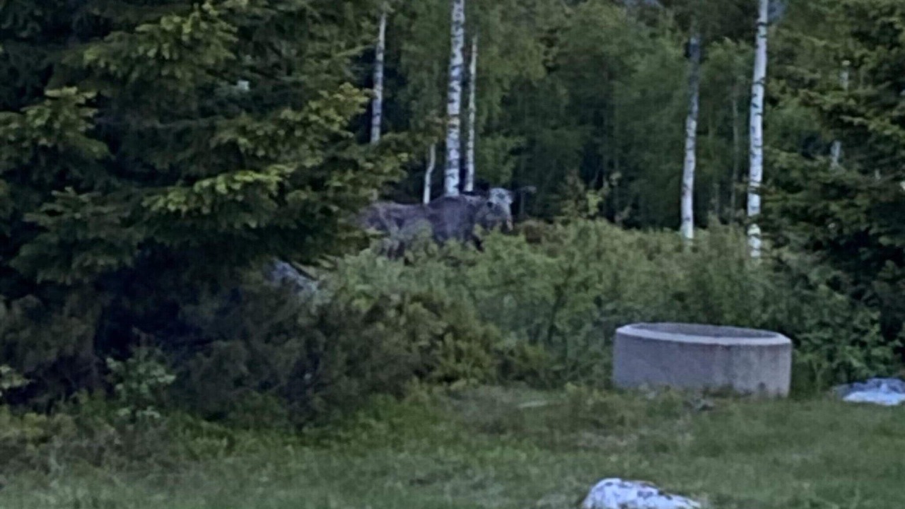 Photo of Outdoor in Syssleback