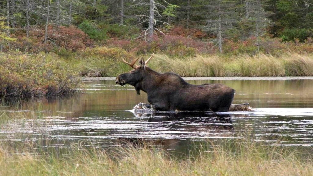 Photo of Outdoor in Syssleback