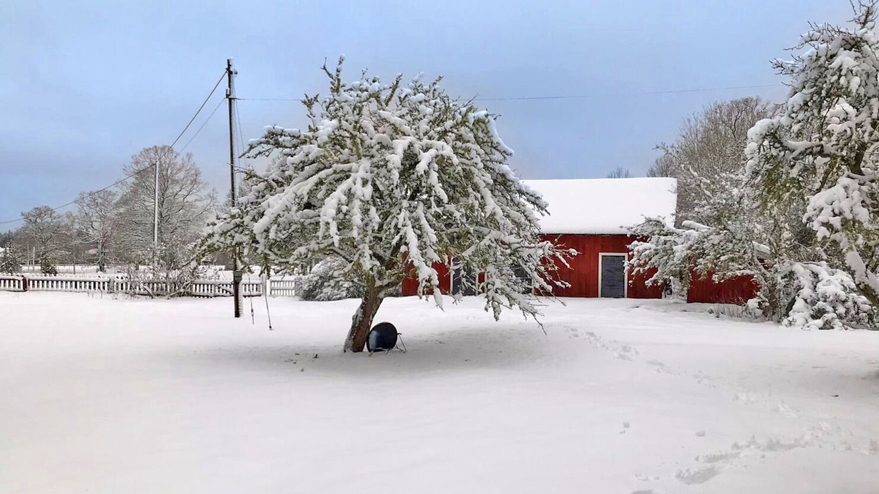 Photo of Outdoor in Gronskara