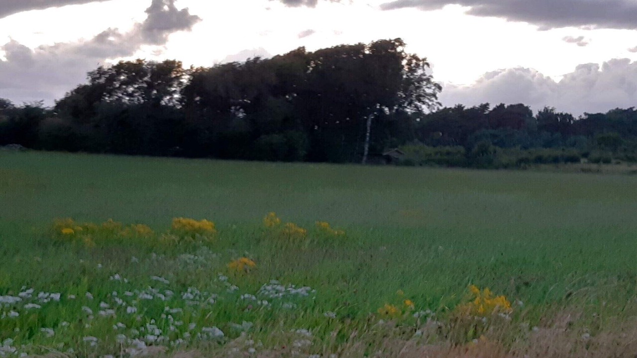 Photo of Others in Falkenberg