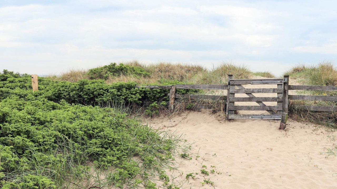 Photo of Others in Falkenberg