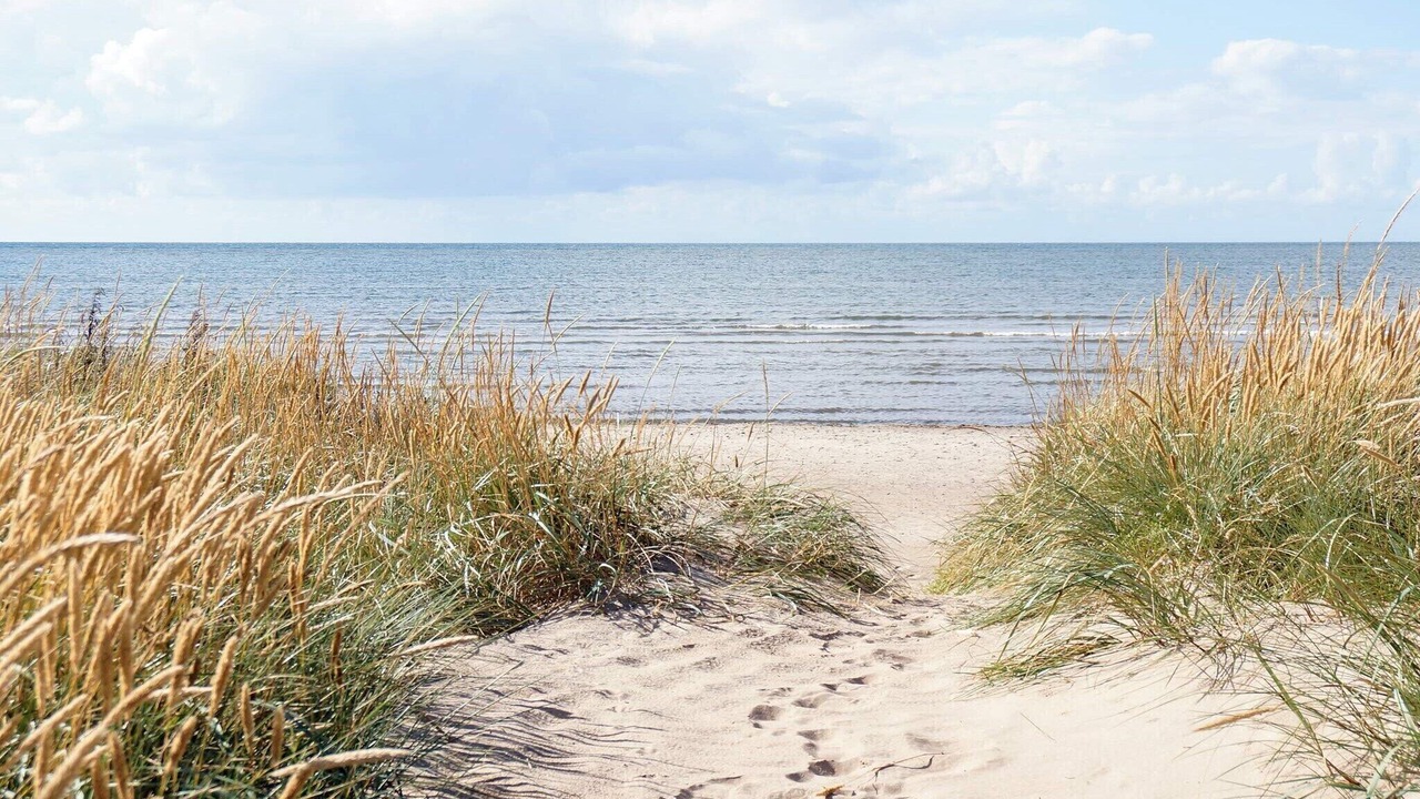Photo of Others in Falkenberg