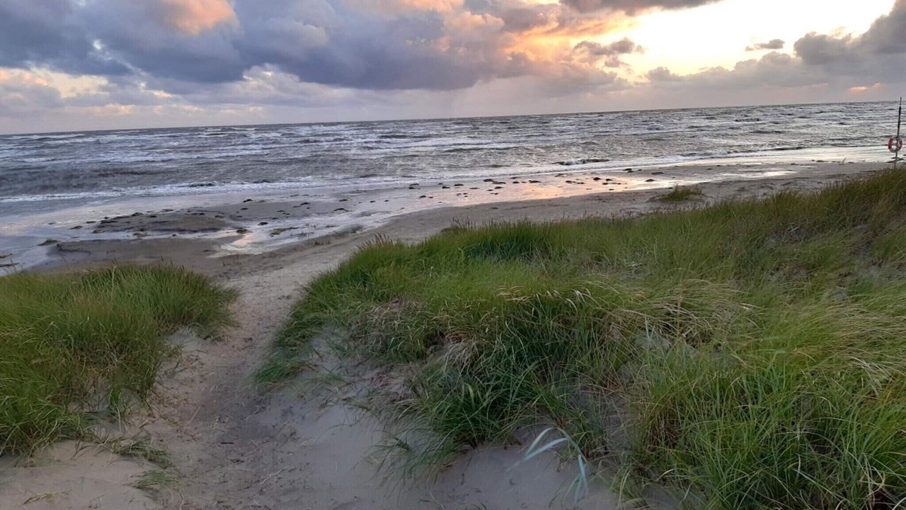 Photo of Others in Falkenberg