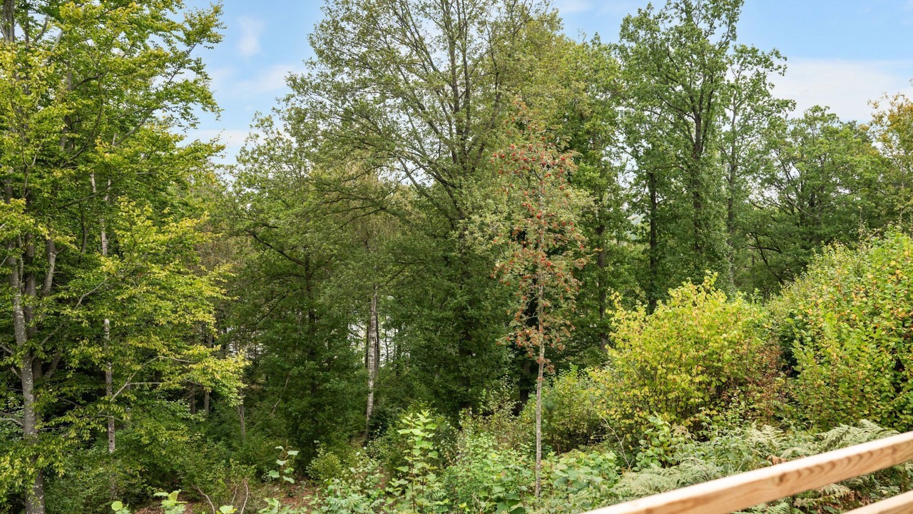 Photo of Outdoor in Olofstrom