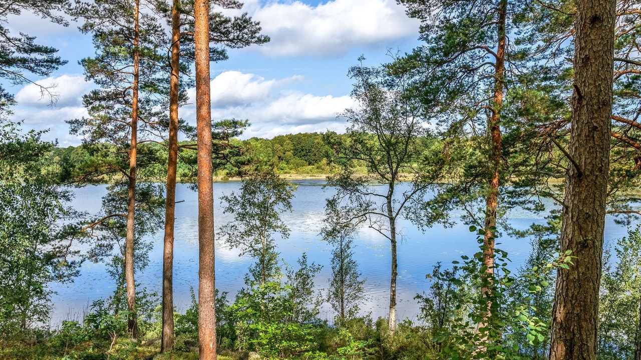 Photo of Outdoor in Olofstrom