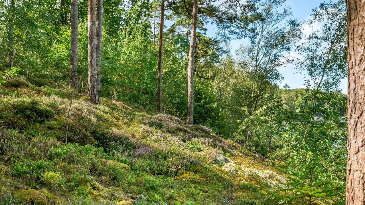 Photo of Outdoor in Olofstrom
