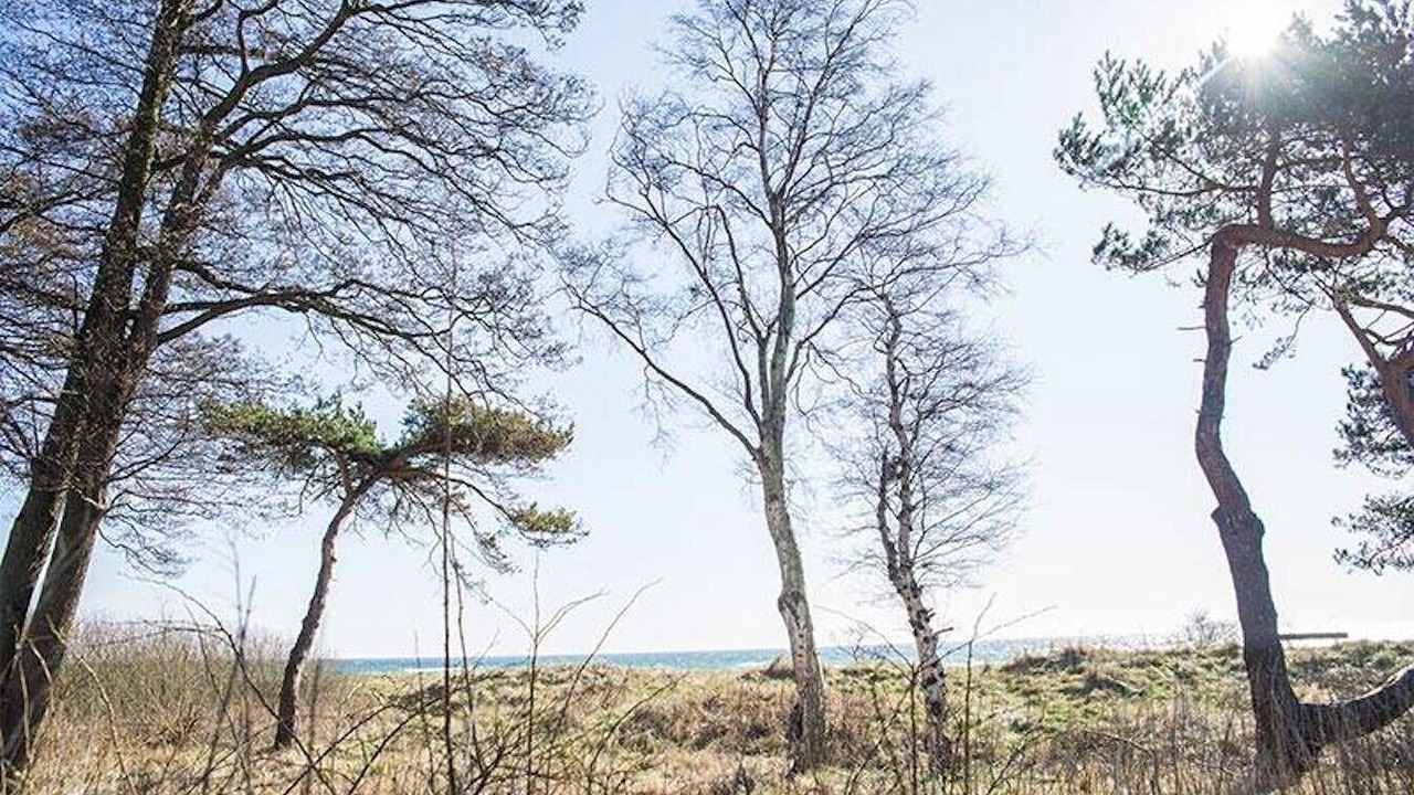 Photo of Others in Smygehamn
