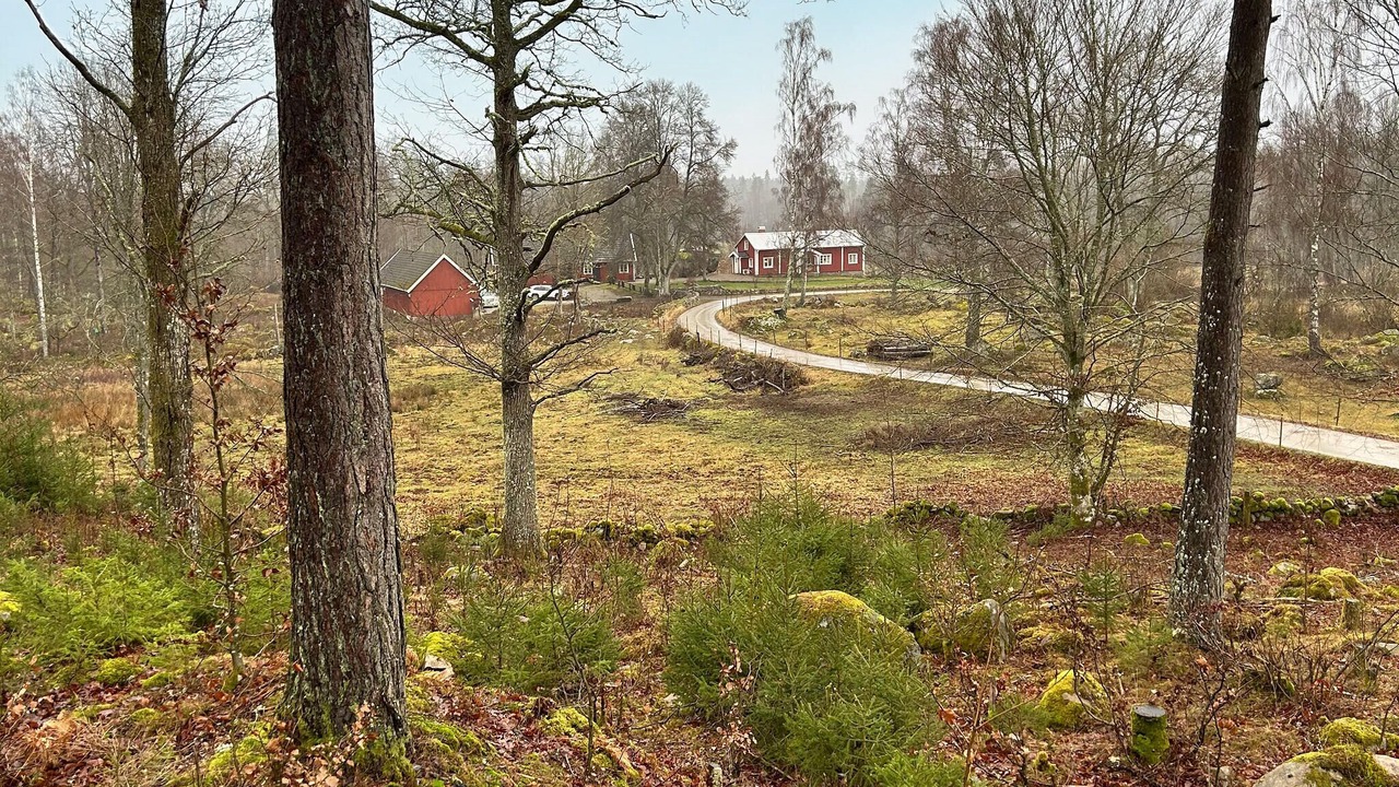Photo of Others in Backaryd
