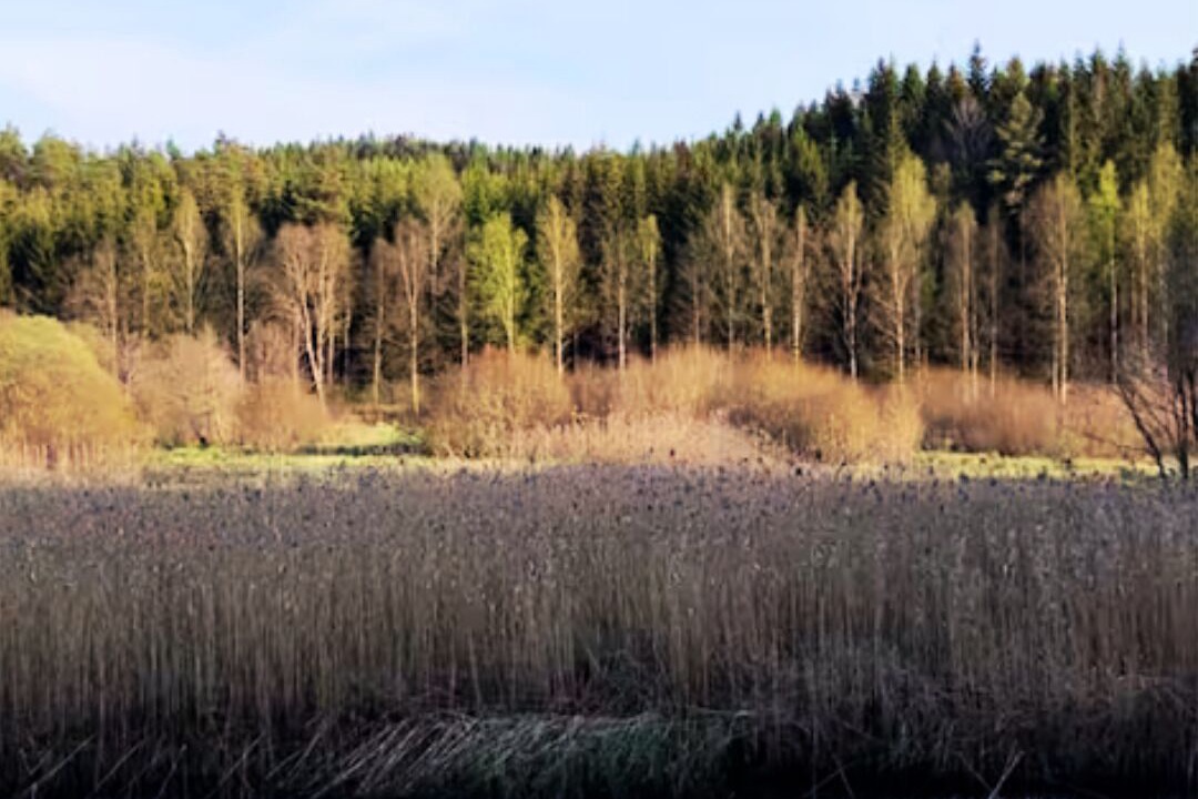Photo of Others in Orby