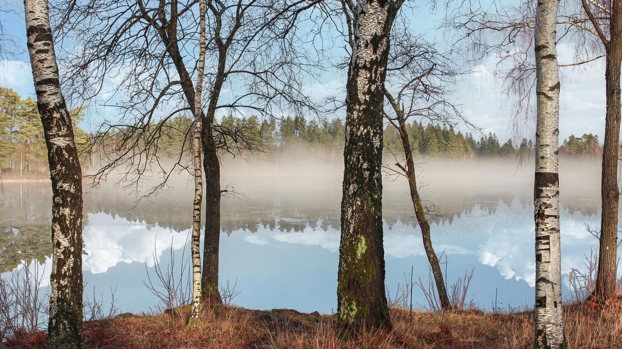 Photo of Others in Hinneryd