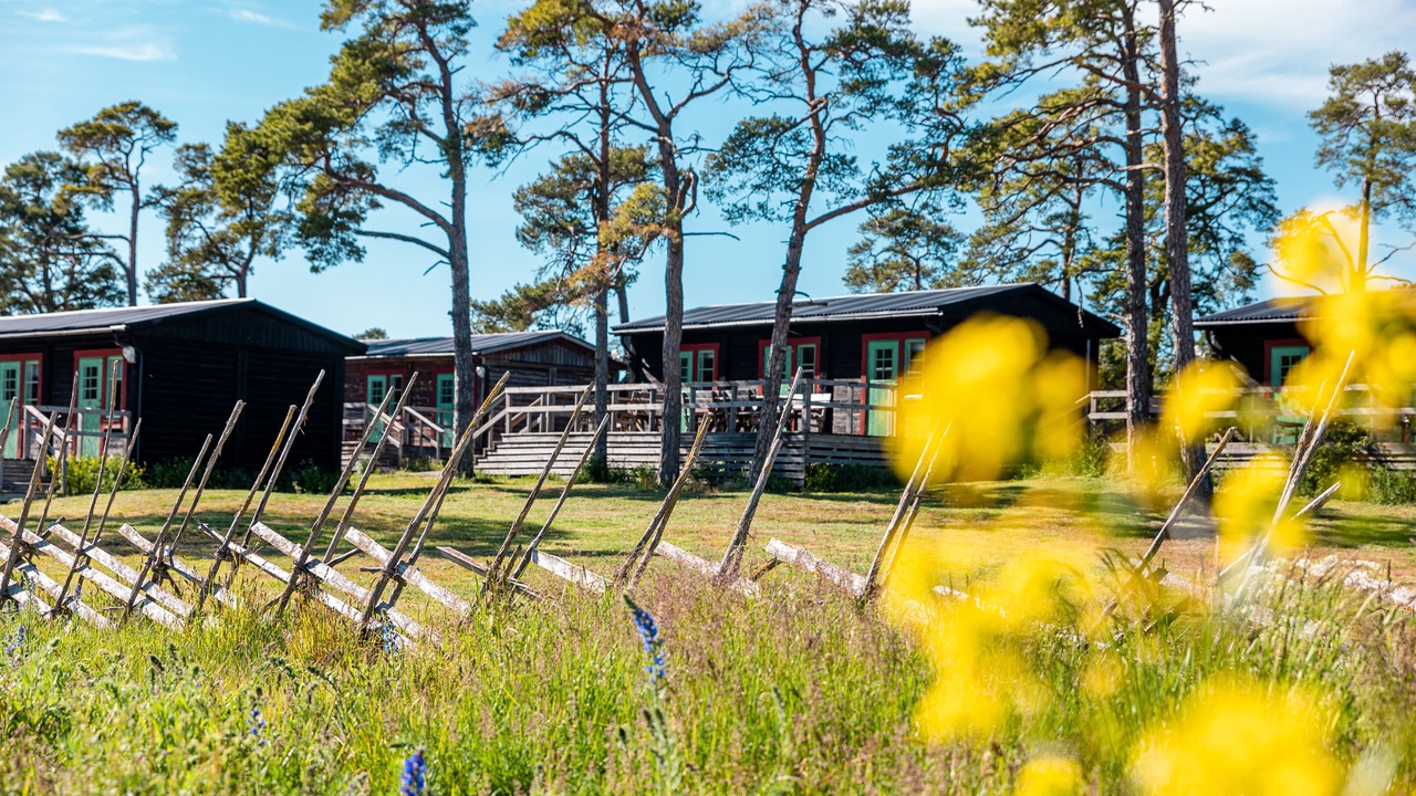 Photo of Outdoor in Irevik