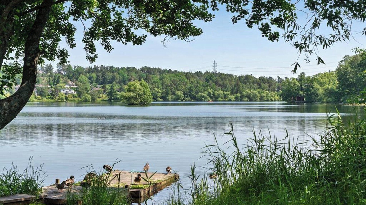 Photo of Others in Sollentuna