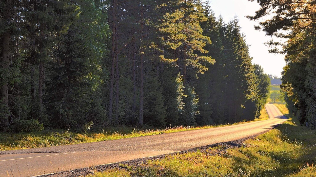 Photo of Others in Växjö