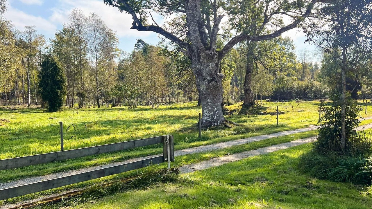 Photo of Outdoor in Växjö