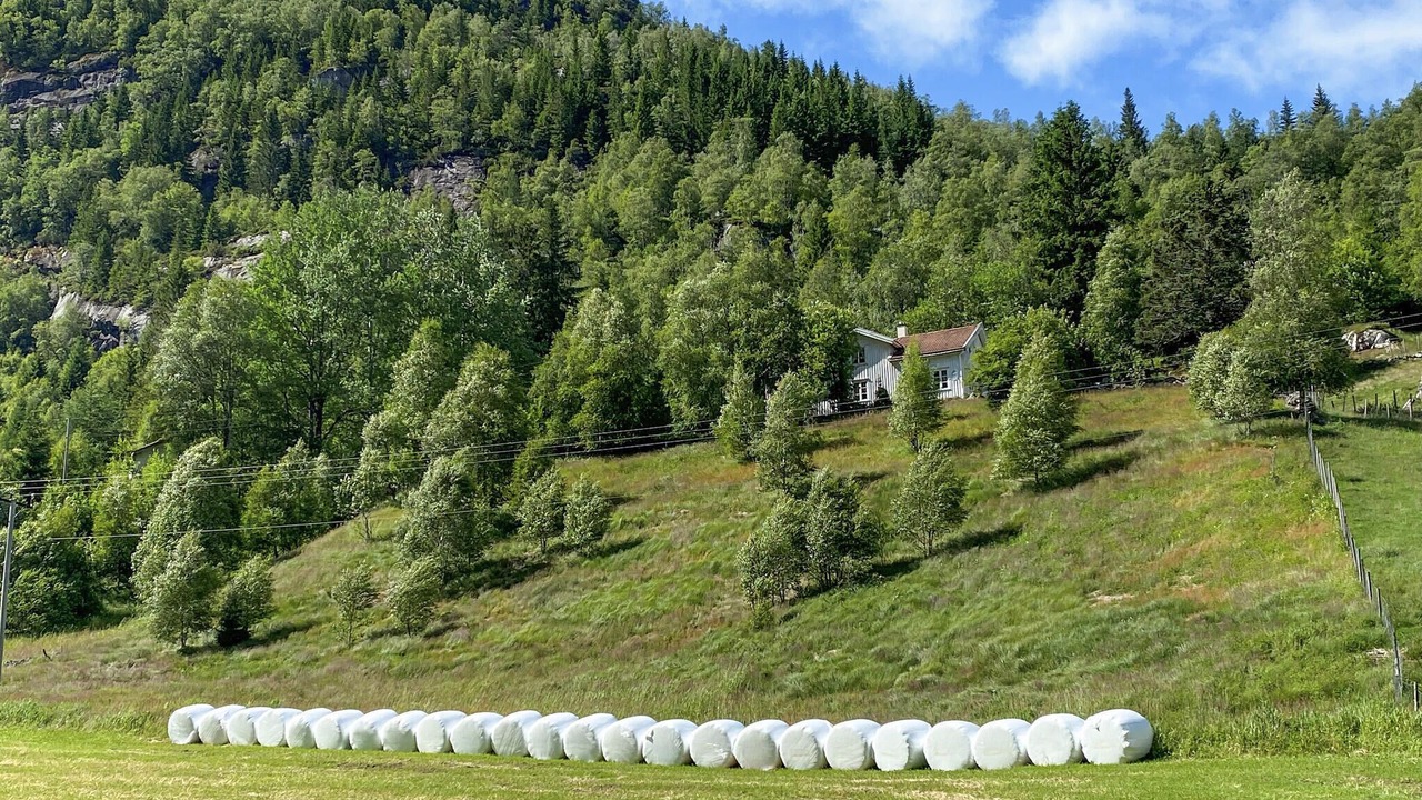 Photo of Others in Sirdal