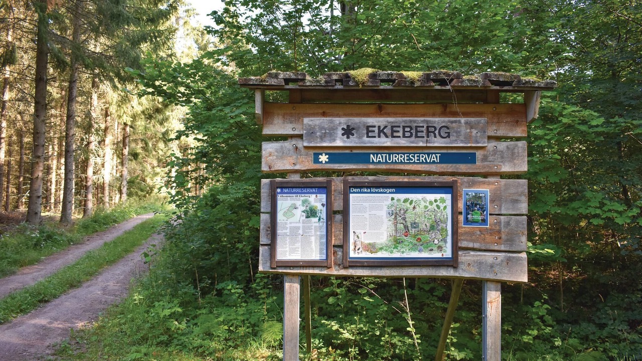 Photo of Others in Odeshog Municipality