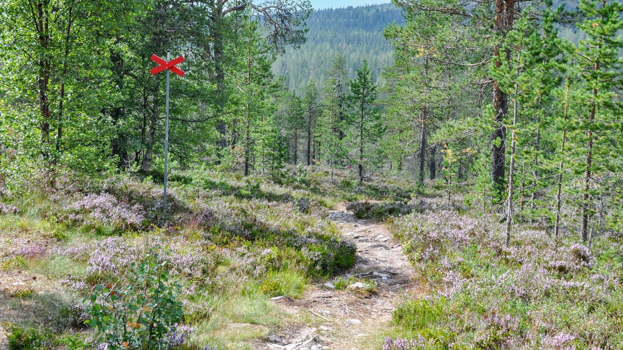 Photo of Others in Stoten
