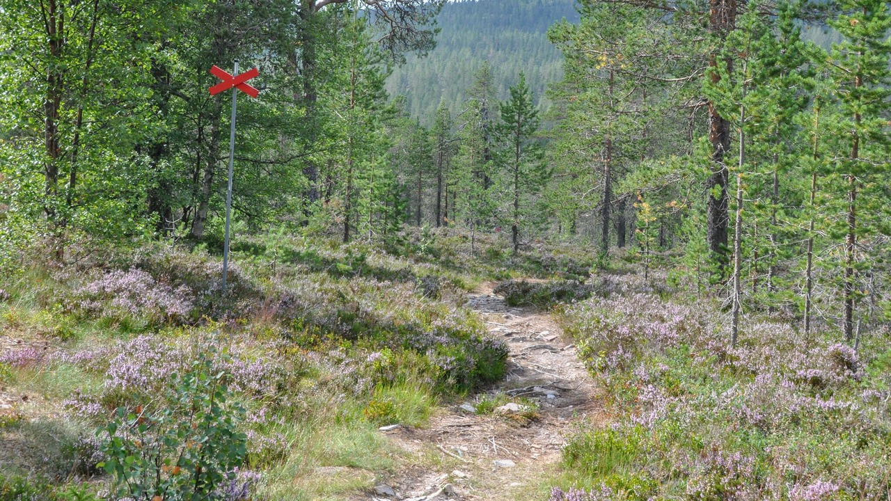 Photo of Others in Stoten