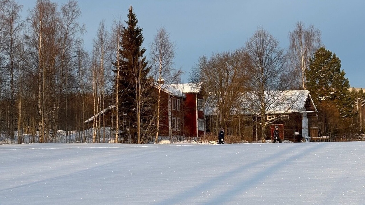 Photo of Others in Bjuraker