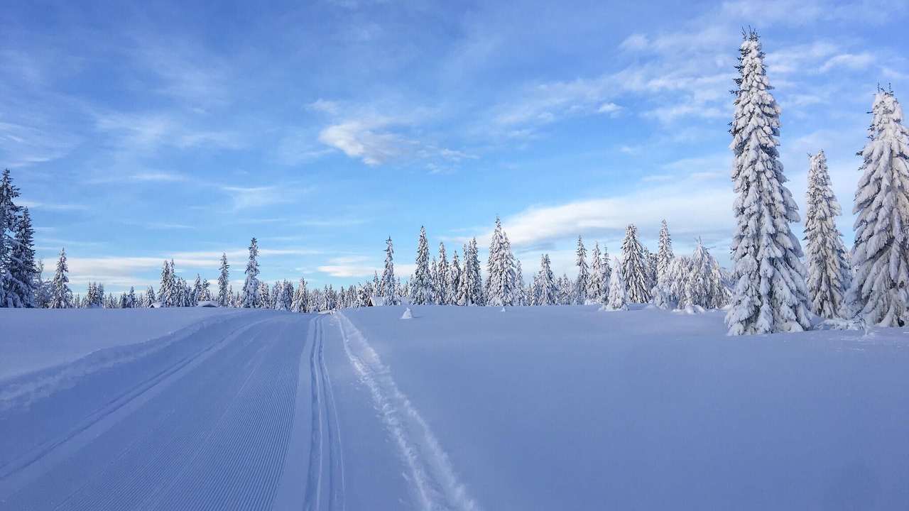 Photo of Others in Sjusjoen