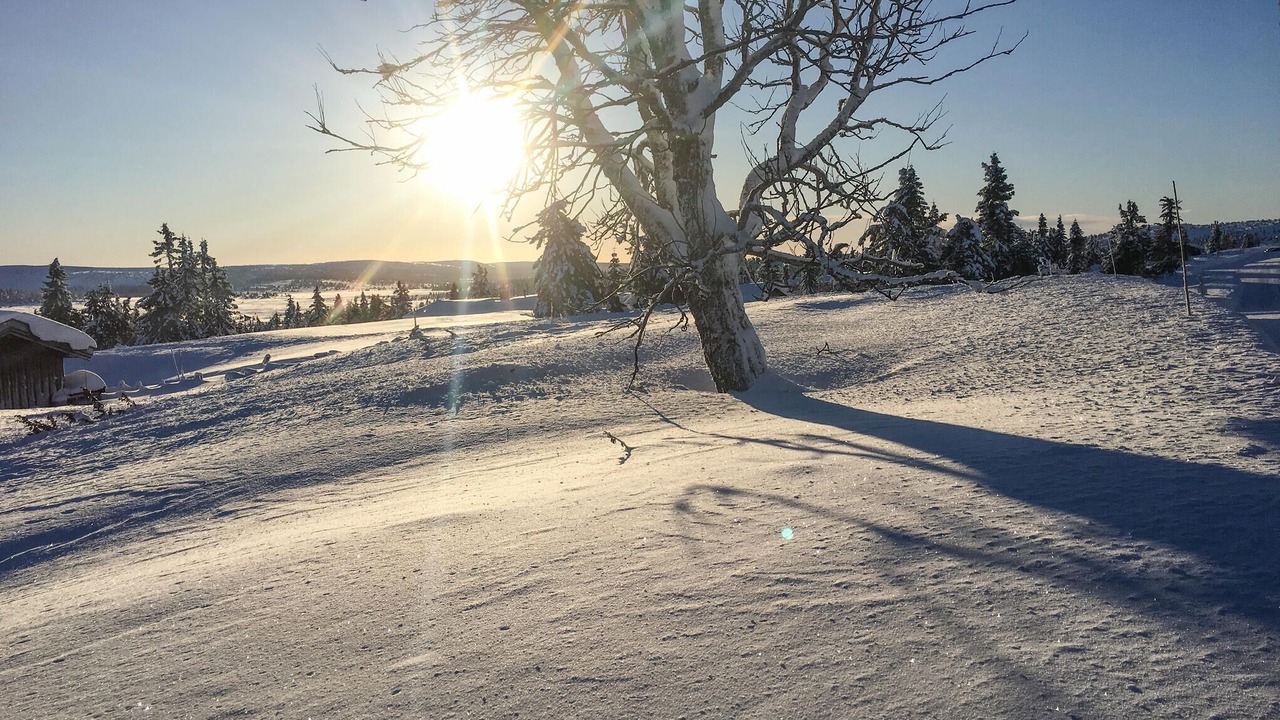 Photo of Others in Sjusjoen