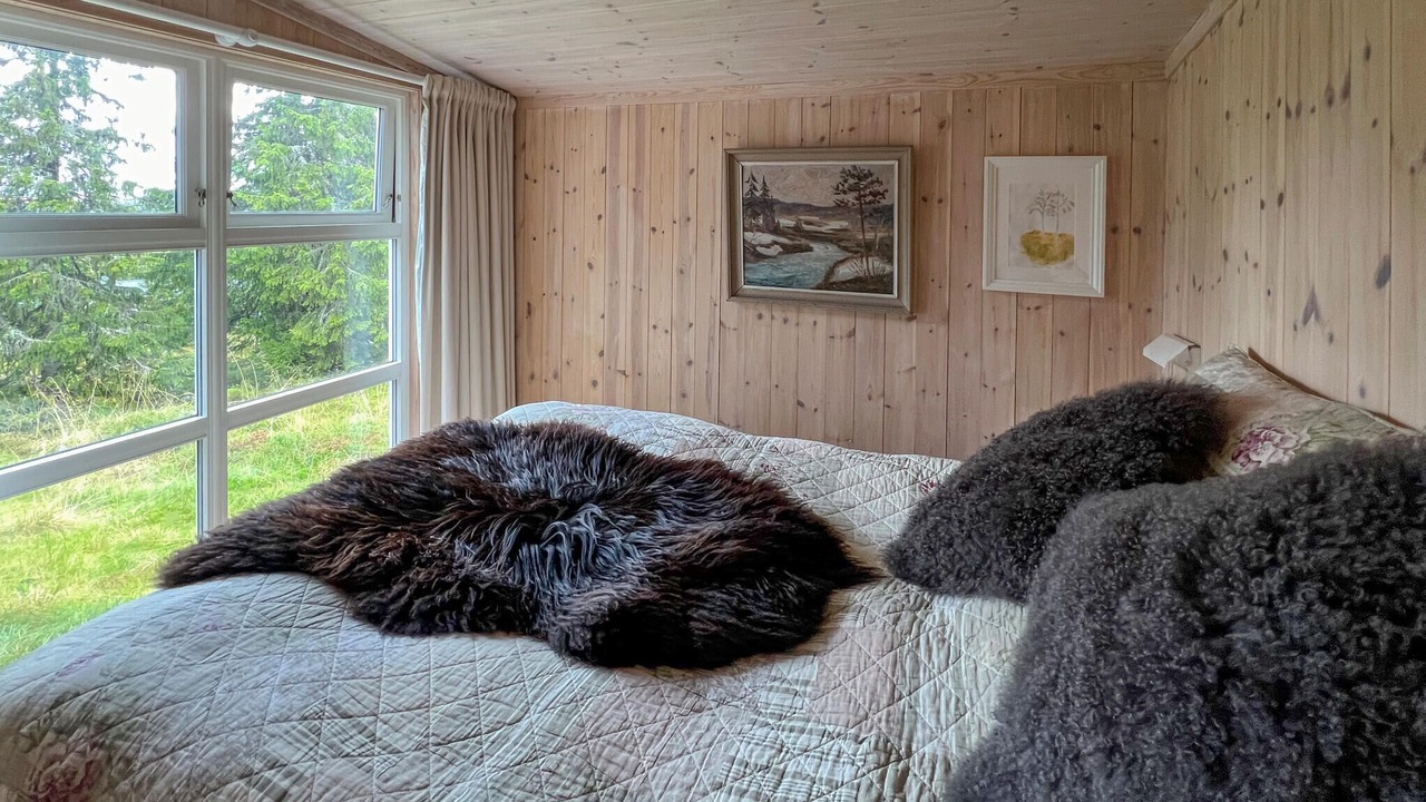 Photo of Others in Sjusjoen