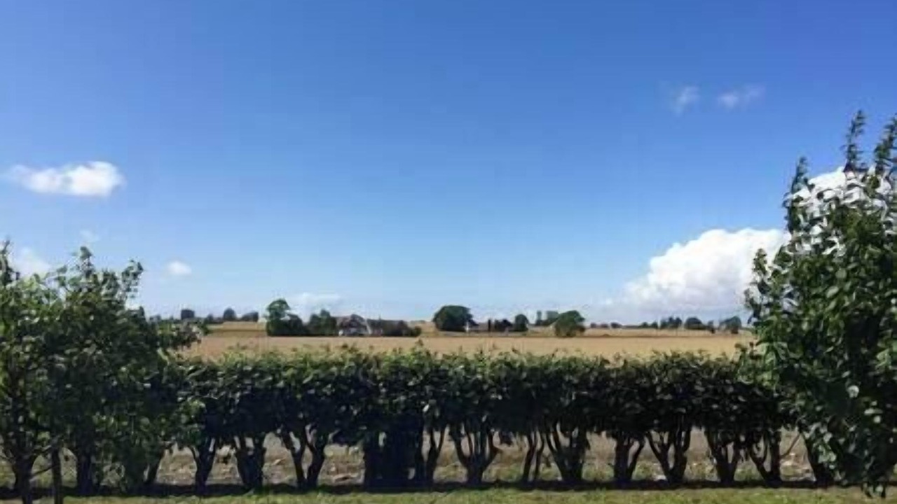 Photo of Outdoor in Borrby