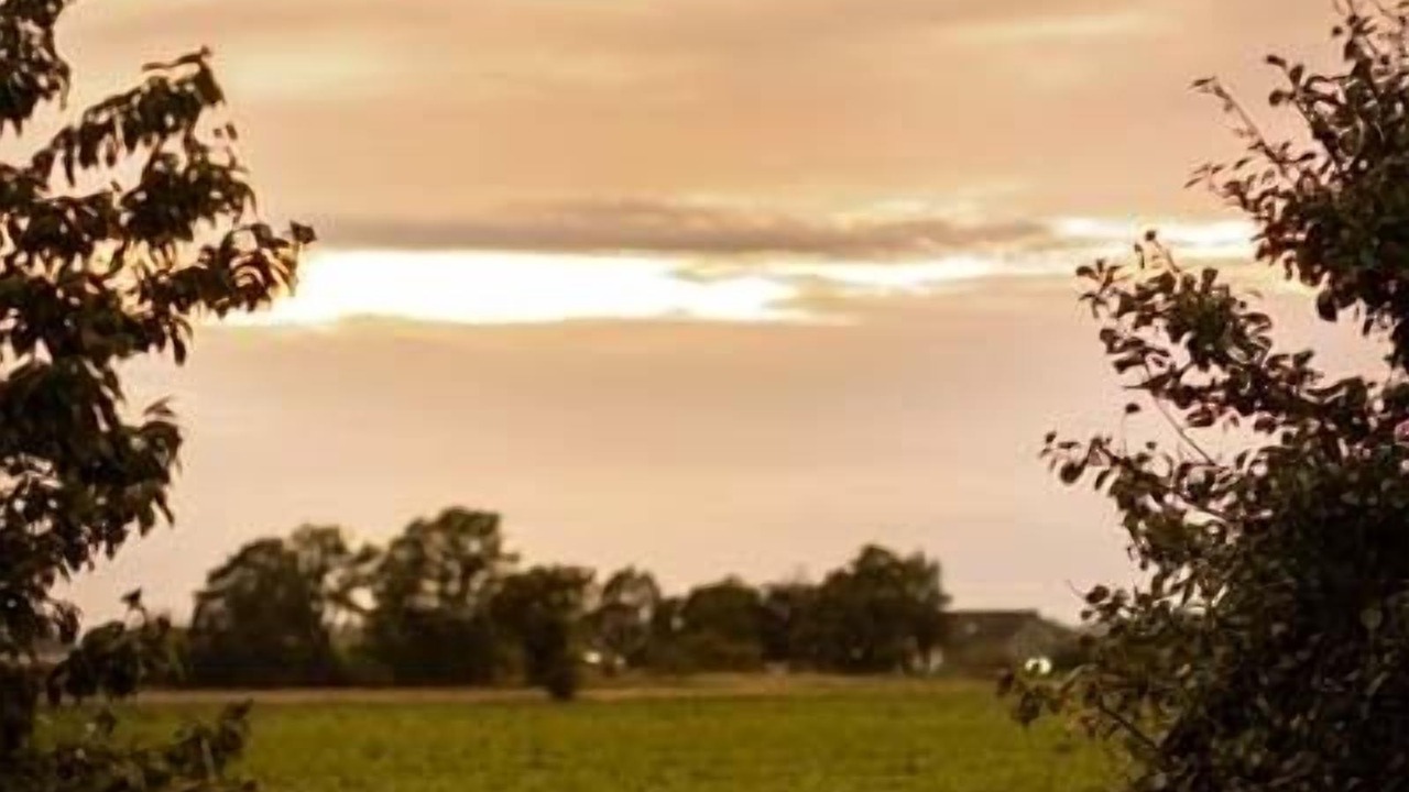 Photo of Others in Borrby