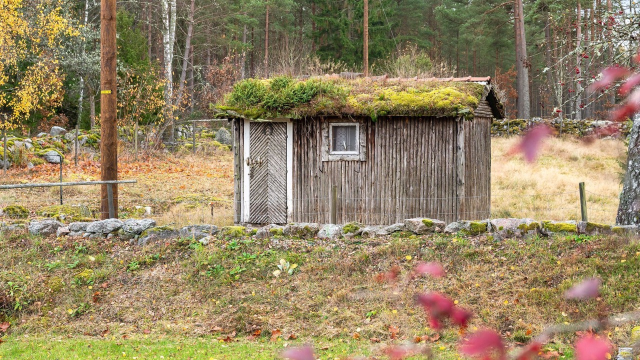 Photo of Outdoor in Eringsboda