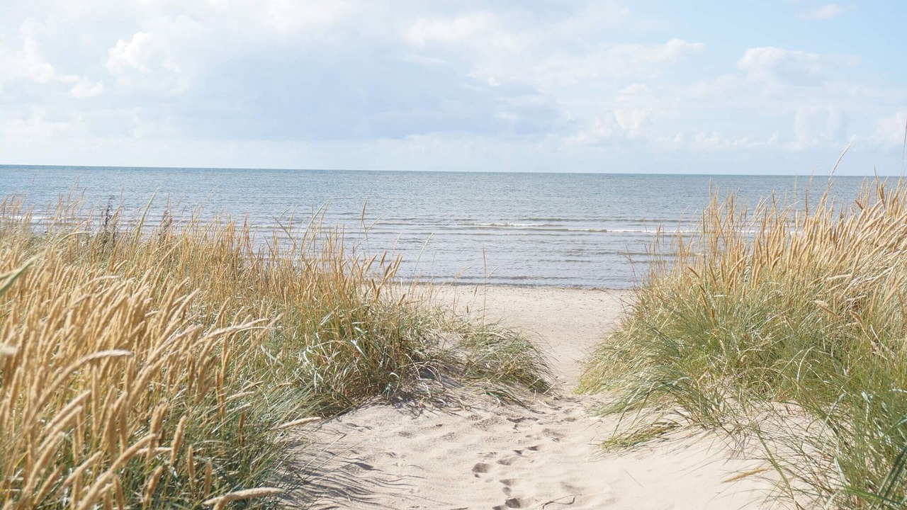 Photo of Outdoor in Falkenberg