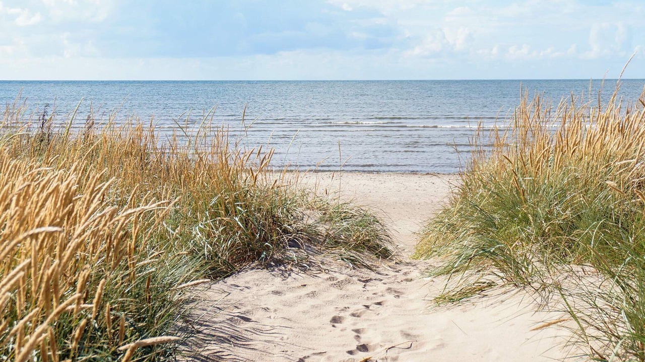 Photo of Others in Falkenberg