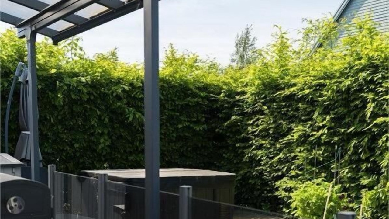Photo of Patio Balcony in Soder