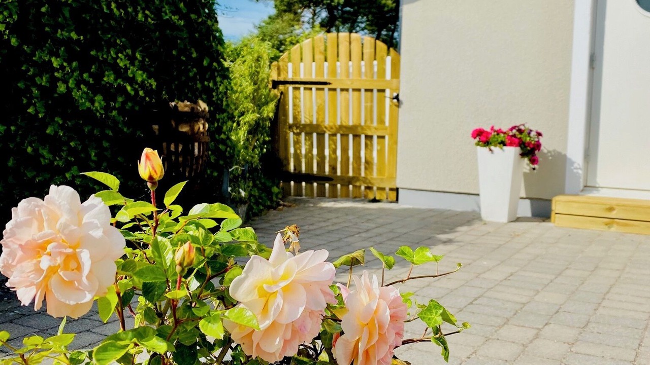 Photo of Outdoor in Borrby