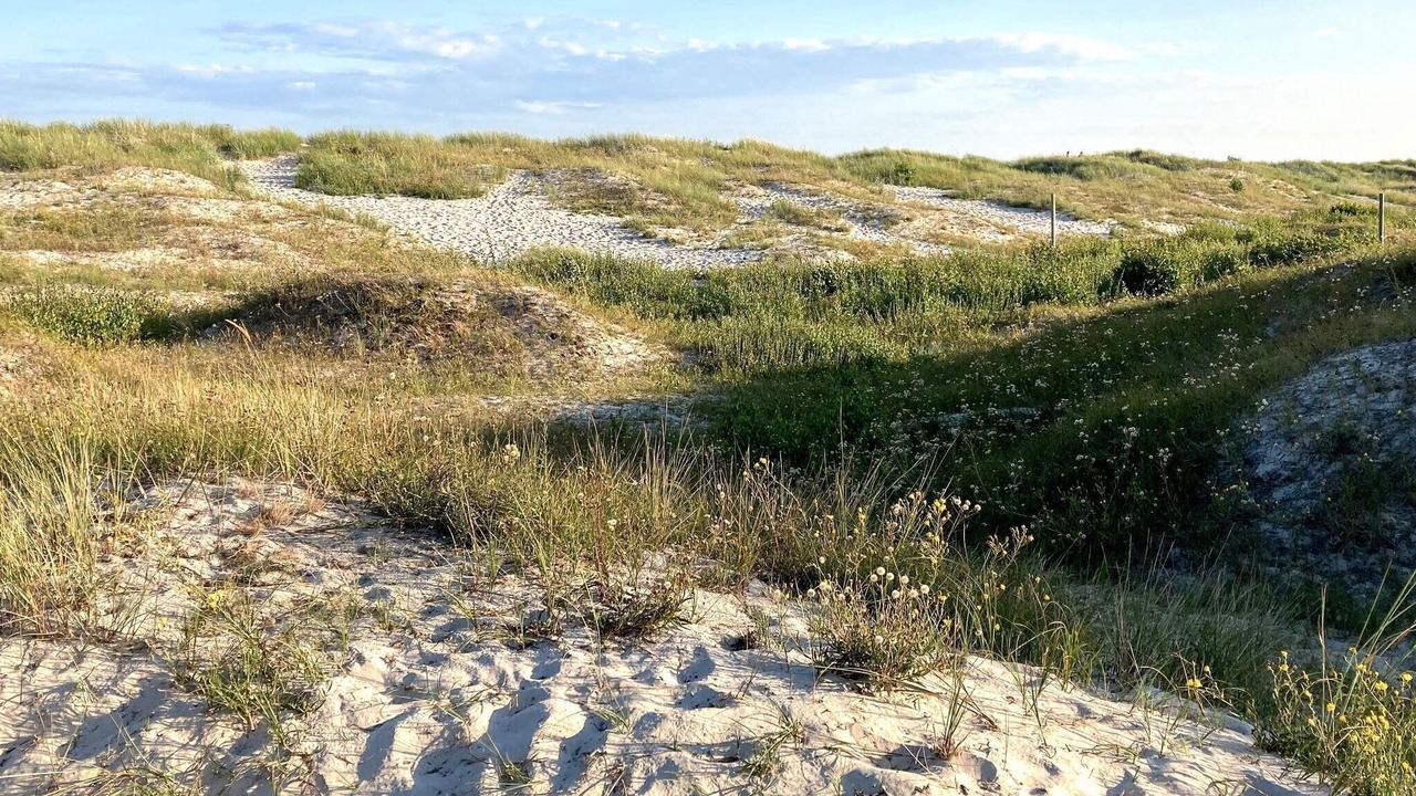 Photo of Others in Simrishamn