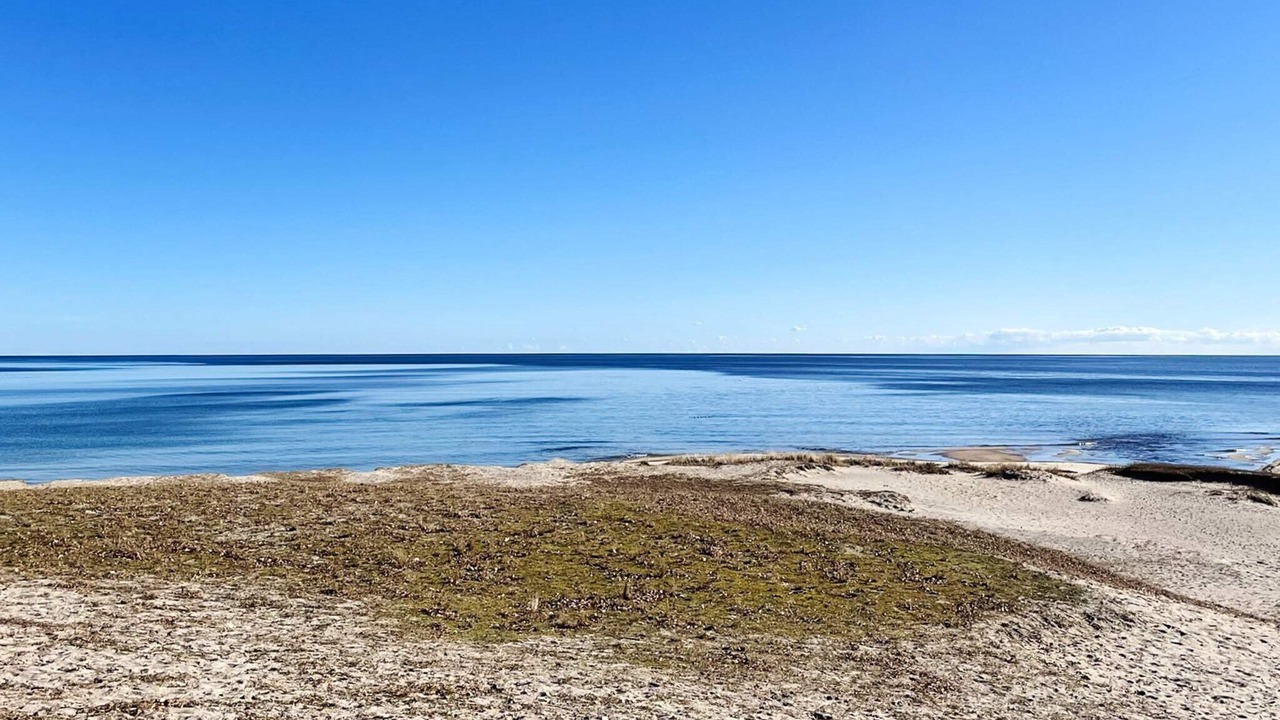 Photo of Others in Simrishamn