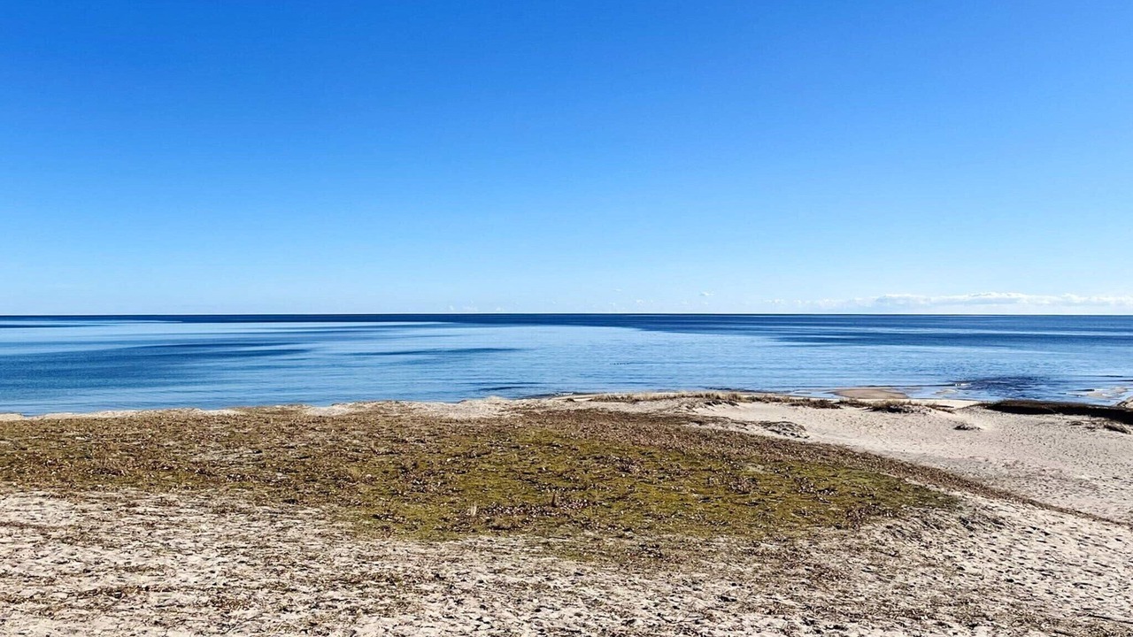 Photo of Others in Simrishamn