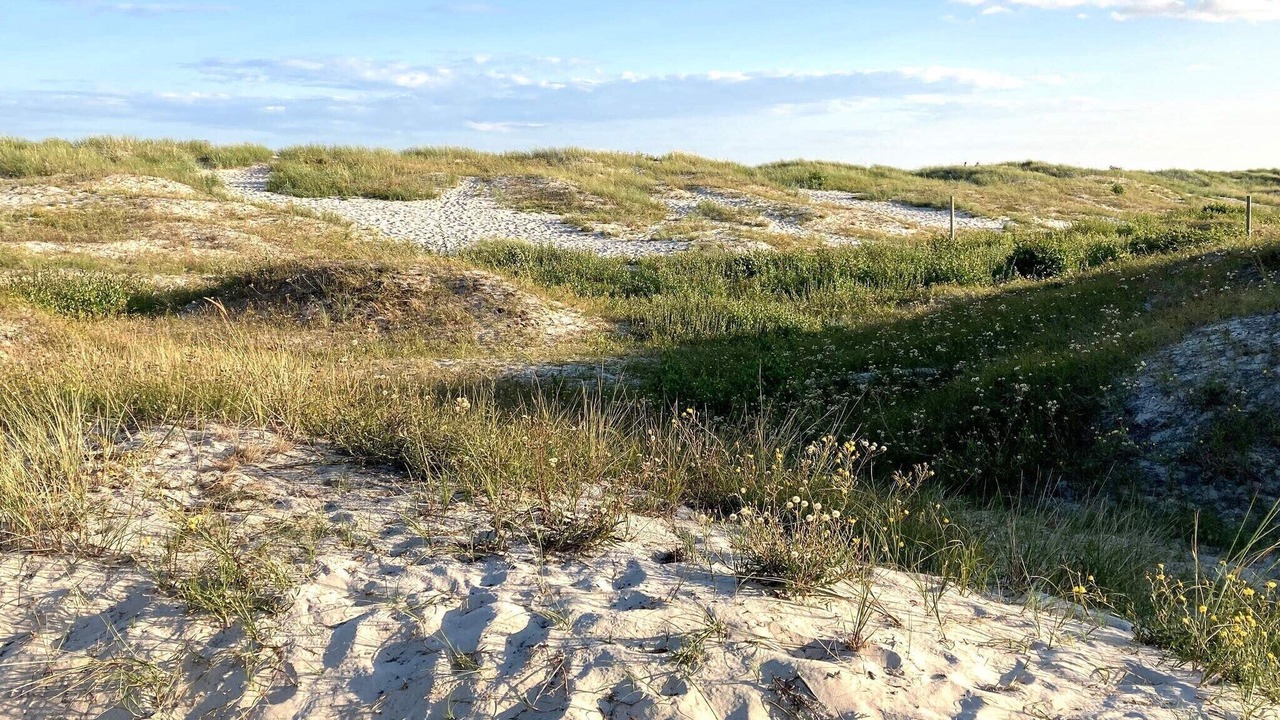 Photo of Others in Simrishamn