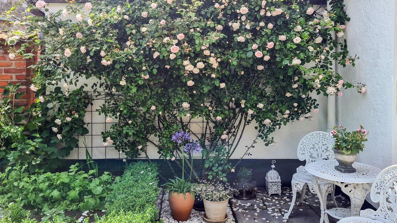 Photo of Outdoor in Simrishamn