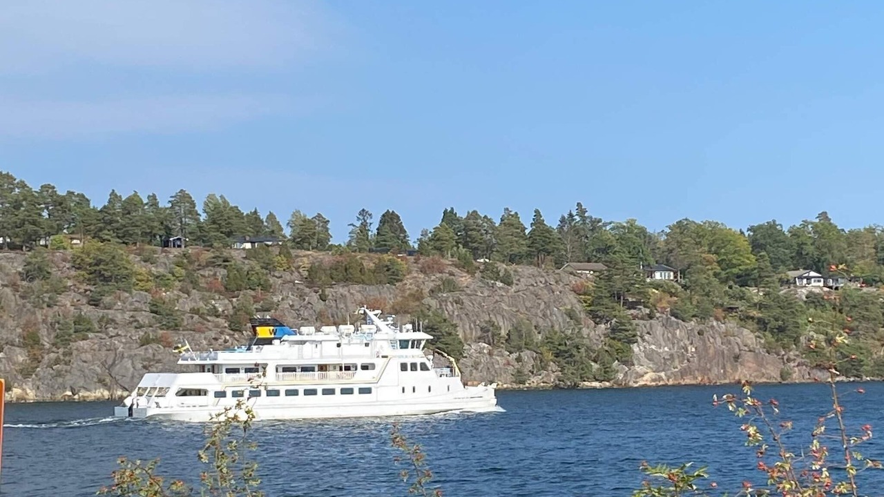 Photo of Others in Tynningo