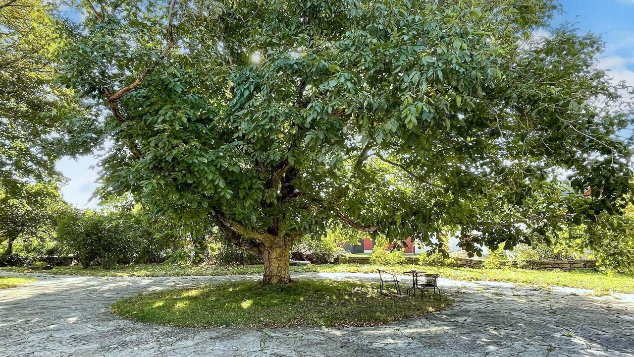 Photo of Outdoor in Sodra Kvinneby