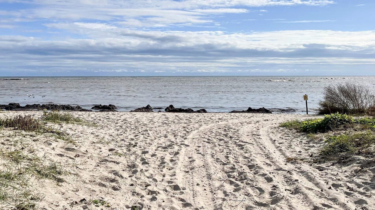 Photo of Others in Sodra Kvinneby